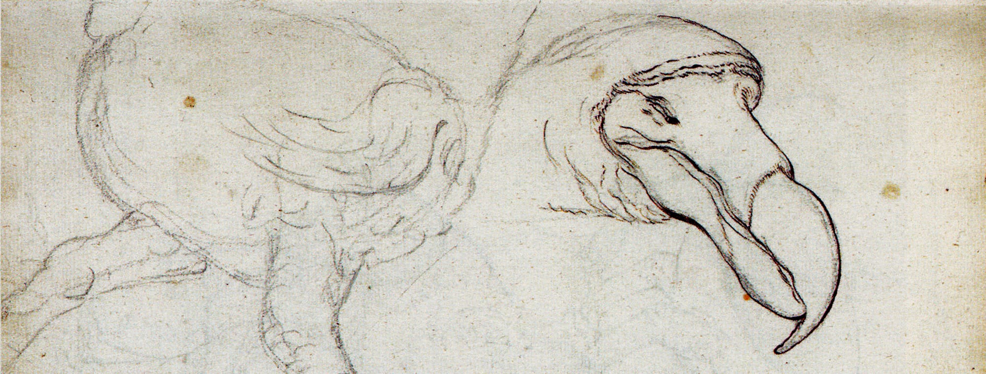 The Late Thinker